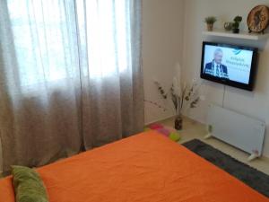 a bedroom with a bed and a tv in a room at Coral View in Peyia