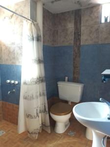 bagno con servizi igienici e lavandino di Habitación doble a Ciudad Lujan de Cuyo