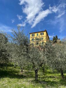 a building behind an apple orchard with an apple tree at RESORT Panoramico Canale Suite - private parking - Natural Park in Sinalunga