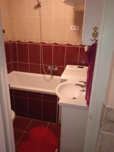 een badkamer met een wastafel, een douche en een bad bij Liána Vendégház in Szilvásvárad