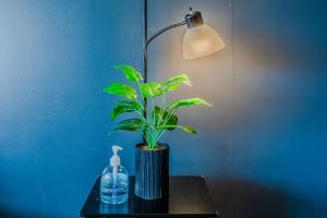 a plant in a vase on a table next to a lamp at GA Living Suites- Downtown Dallas Corporate Suites in Dallas