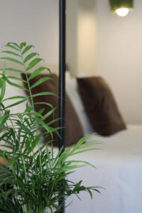 a green plant sitting next to a white couch at Zen Guest House - Museu do Bonsai in Sintra