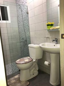 ein Bad mit einem WC, einer Dusche und einem Waschbecken in der Unterkunft Sweet Alar in La Estrella