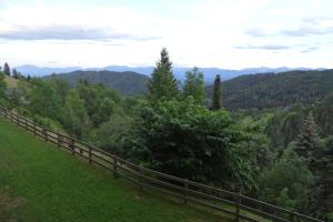 widok na góry z wzgórza z ogrodzeniem w obiekcie Familienapartment mit Pool, Spa und Panoramablick w mieście Zirkitz