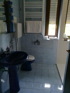 een badkamer met een wastafel en een toilet bij Falco Bianco in San Daniele del Friuli