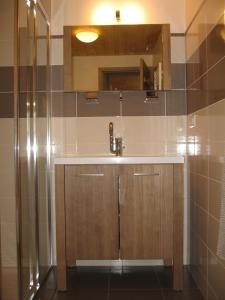 y baño con lavabo y ducha. en Appartement Borne en Saint-Jean-dʼAulps