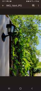 Afbeelding uit fotogalerij van Container na montanha in Siderópolis +16 foto's