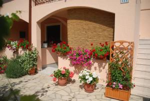 Zahrada ubytování Apartments Bardak