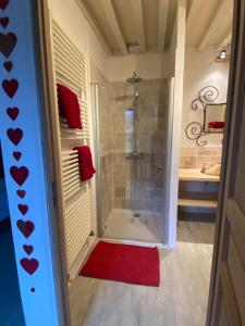 a bathroom with a shower with a red rug at Chambre d'hôtes La Chouette in Saint-Martin-du-Puy