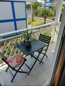 a table and chairs on a balcony with a plant at L hibiscus in Saint-François