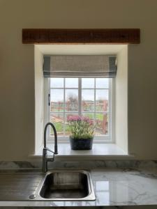 a kitchen sink with a window with a potted plant at The Cobbles in Towcester