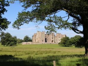 a castle in a field with a tree at Corner Cottage in Staindrop