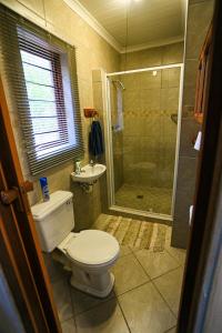 een badkamer met een toilet, een douche en een wastafel bij Sparrow 615 Cottage 1 in Marloth Park