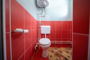 ein Bad mit einem WC und einer roten Wand in der Unterkunft Golijski Vuk in Raška