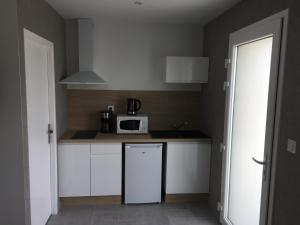 eine kleine Küche mit einem Kühlschrank und einer Mikrowelle in der Unterkunft Résidence du Lac - Proximité Le PAL in Bourbon-Lancy