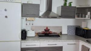 Kuchyňa alebo kuchynka v ubytovaní Palatinus Apartman Esztergom