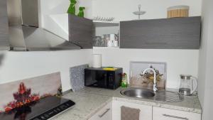 Kuchyňa alebo kuchynka v ubytovaní Palatinus Apartman Esztergom