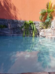 uma piscina de água com palmeiras em Casa Camino del Agua em Castilleja de la Cuesta