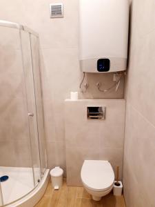 a small bathroom with a toilet and a shower at Nowoczesne mieszkanie w centrum miasta in Nowy Sącz
