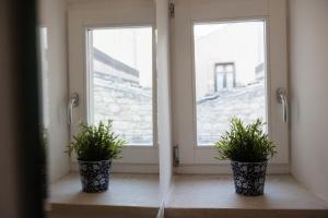 Gallery image of Casa l'Amuri in Modica