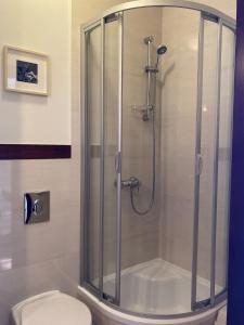 a shower stall in a bathroom with a toilet at Villa Baltic Chałupy - Apartament nr 14A in Chałupy