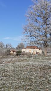 um campo com uma árvore e uma casa ao fundo em Domaine de la Poyat em Légny