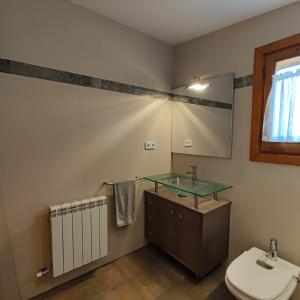 La salle de bains est pourvue d'un lavabo, de toilettes et d'un miroir. dans l'établissement Xalet Cal Cadiach, à Prades