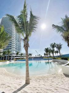 a palm tree on the beach in front of a hotel at The Patio at Monaco Tower in Lagundi