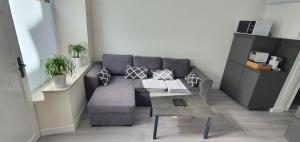 salon z kanapą i stołem w obiekcie La Marion w mieście Saint-Jean-de-Losne +6 zdjęć