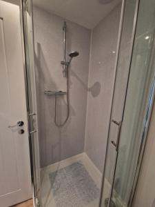 a shower stall with a glass door in a bathroom at The Patch in Brighton & Hove