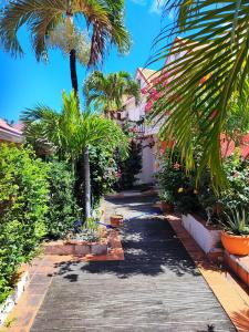 una pasarela con palmeras y plantas y un edificio en Appartement entier: chambre, cuisine + terrasse au calme sur jardin., en Marigot