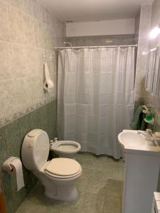 a bathroom with a toilet and a sink and a shower at Espacio Alem in Comodoro Rivadavia