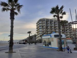 palmy i budynek na plaży w obiekcie Beau studio vue mer Canet Sud w mieście Canet-en-Roussillon