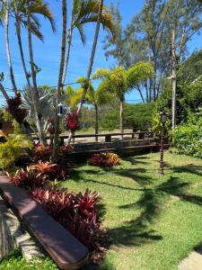 a park with palm trees and a bench and plants at Casa 10 suítes, até 64 pessoas, Praia Ferradura in Búzios