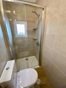 a bathroom with a shower and a toilet and a sink at CASA GODOY in Cáceres