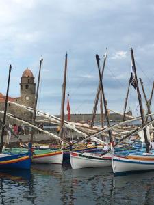 un grupo de barcos sentados en el agua en BEL APPARTEMENT 4Pers RDC/parking/terrasse/ jardin, en Collioure