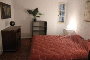 Un dormitorio con una cama y un tocador con una planta. en Appartement entier 40m2, en Les Arcs sur Argens