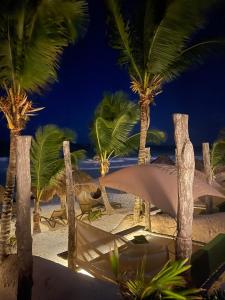 a deer on the beach with palm trees at night at Sueños Tulum in Tulum
