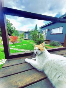 un chat blanc assis sur une terrasse en bois dans l'établissement CASA FARO ARTE, à Potrerillos