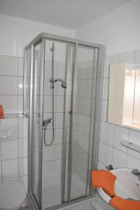 a bathroom with a shower and a toilet and a sink at Haus-am-Deich-Wohnung-10 in Dahme