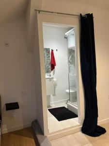 baño con espejo y ducha a ras de suelo en Cosy Rent Strasbourg TV Wifi Studio Gare 4, en Estrasburgo
