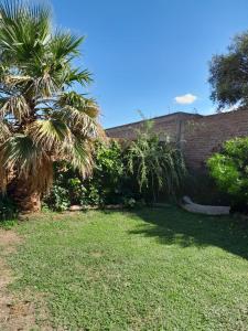 un patio con una palmera y una pared de ladrillo en Hospedaje Kuruf en La Punta