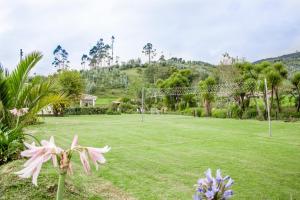 a soccer field with a goal at Hacienda Rosas Pamba in Otavalo