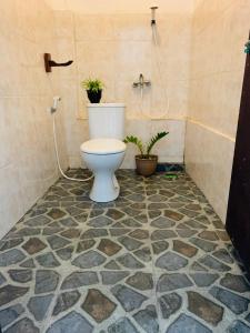 a bathroom with a toilet and plants on the floor at JOSEPH GUEST HOUSE in Kelimutu
