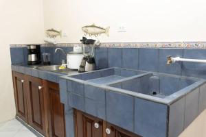a blue kitchen with a sink and a counter at Apartamento Daly 3 in Guápiles