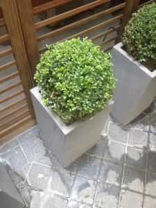 Hôtel Elysées Flaubert