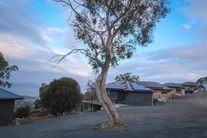 a tree sitting in the middle of a driveway at Mount Rumney Escapes - 3 Seaview Wombat House in Mount Rumney