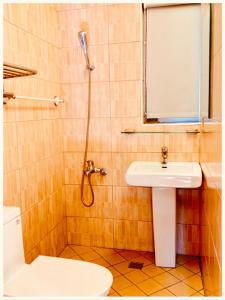 a bathroom with a sink and a toilet and a shower at 如一家精緻民宿 in Jincheng