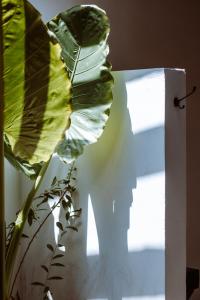 a leafy plant in a vase next to a window at Akasia Villas in Gili Islands
