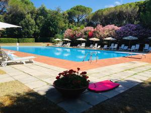 een zwembad met een potplant ernaast bij Appartamenti sul mare Villa il Fortullino in Case Fortullino